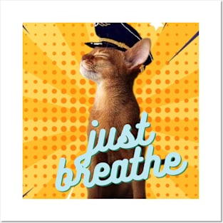 Just breathe Posters and Art